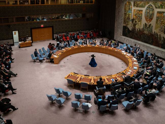 Miembros del Consejo de Seguridad de las Naciones Unidas (Photo by David Dee Delgado/Getty Images)