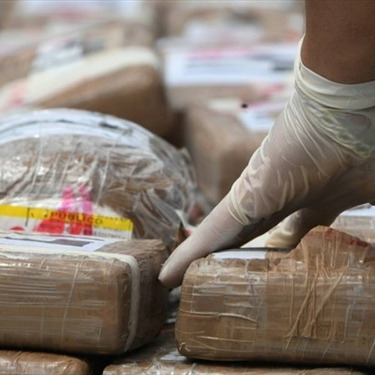 Ejército descubrió megalaboratorio de cocaína en Casanare