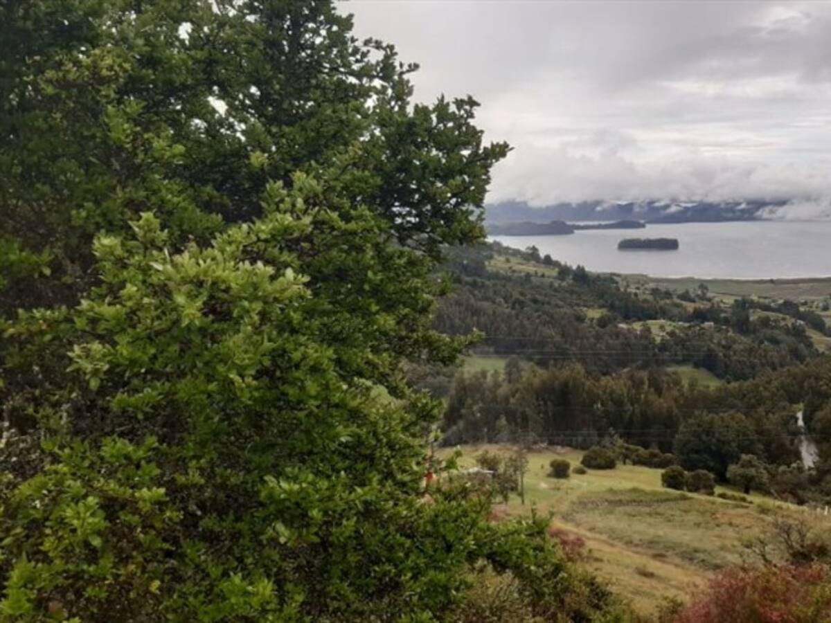Estos son los primeros resultados de prueba de plomo en el Lago de Tota
