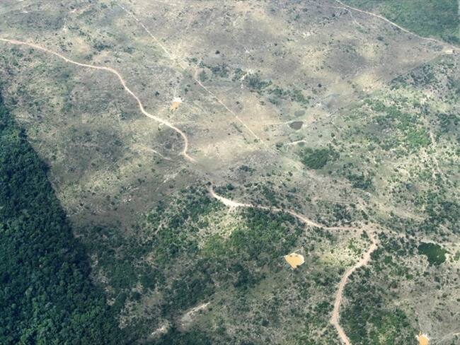 Estudio asegura que la Amazonía comienza a emitir dióxido de carbono