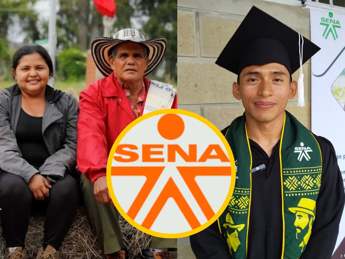 Así puede validar sus conocimientos en el SENA sin hacer un curso: puede obtener certificación