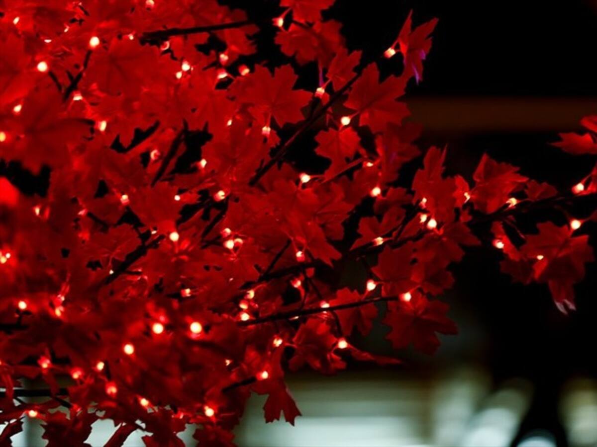 Reconectan alumbrado navideño en Santander de Quilichao, Cauca