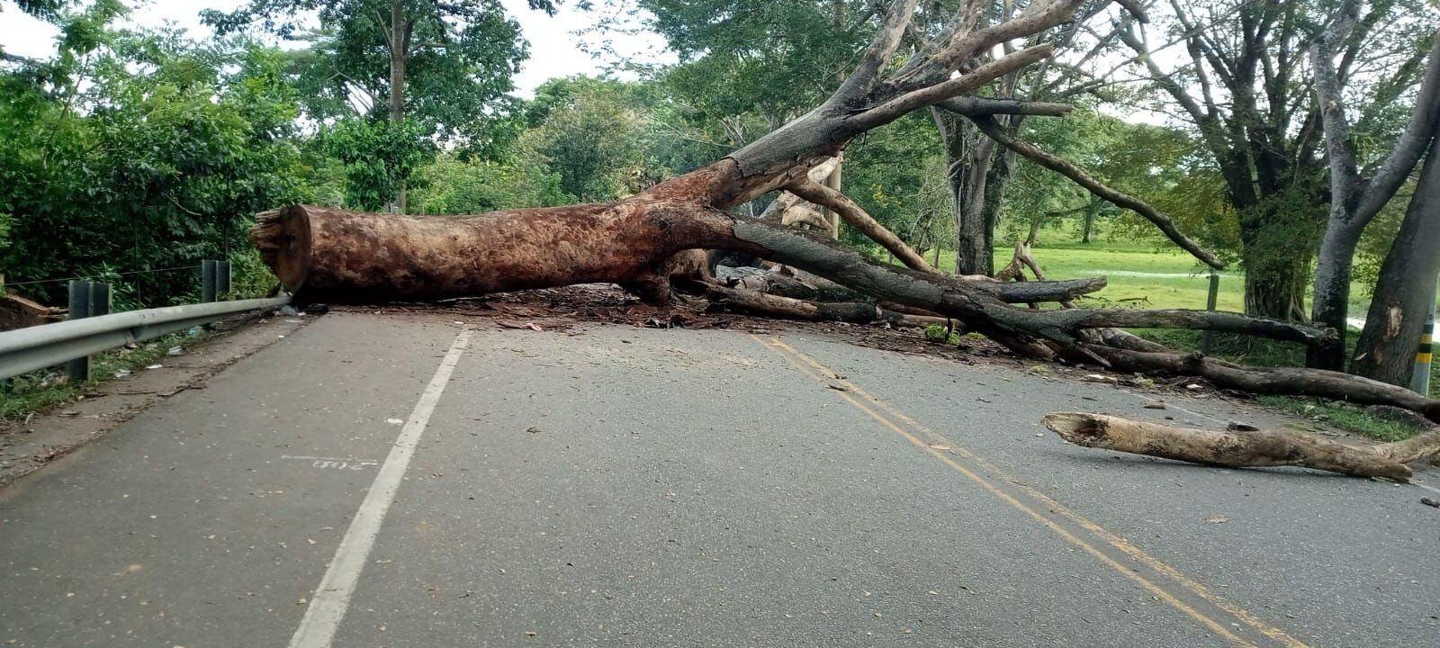 Bloqueos en el Bajo Cauca Antioqueño. Foto: Cortesía @brauliosuarez