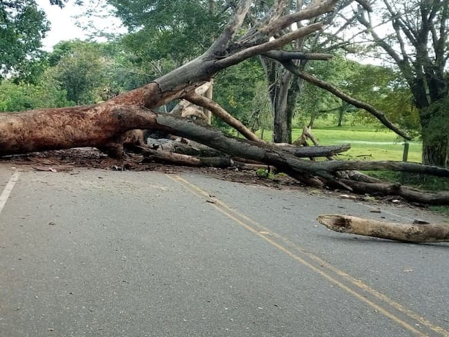 Bloqueos en el Bajo Cauca Antioqueño. Foto: Cortesía @brauliosuarez
