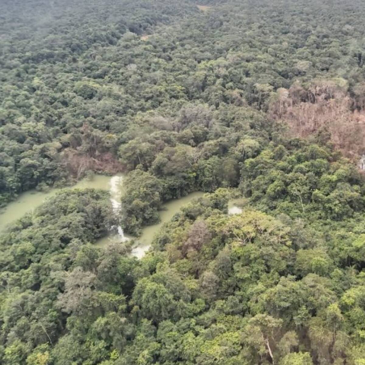 Sectores políticos se pronuncian sobre suspensión de bombardeos