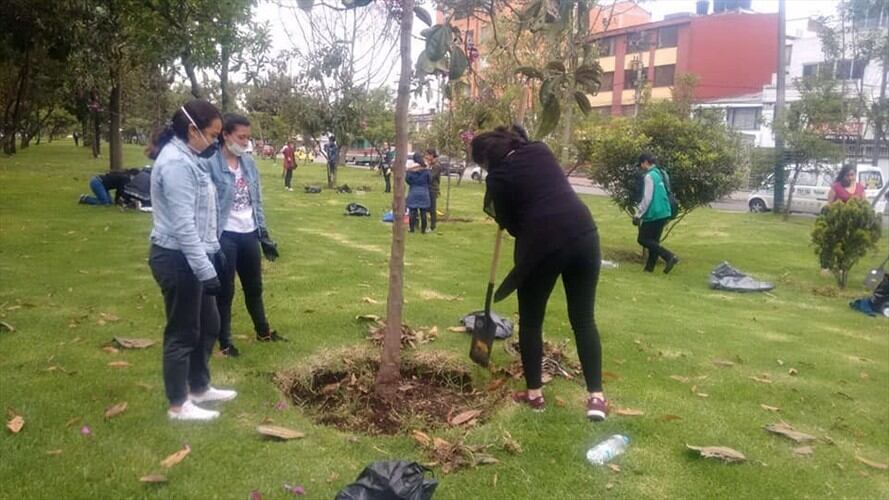 ‘Megaplantatón’ de árboles en Bogotá. Foto: Jardín Botánico
