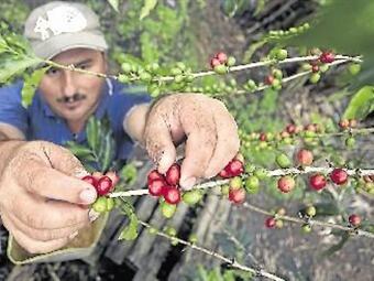 Foto: Eltiempo.com
