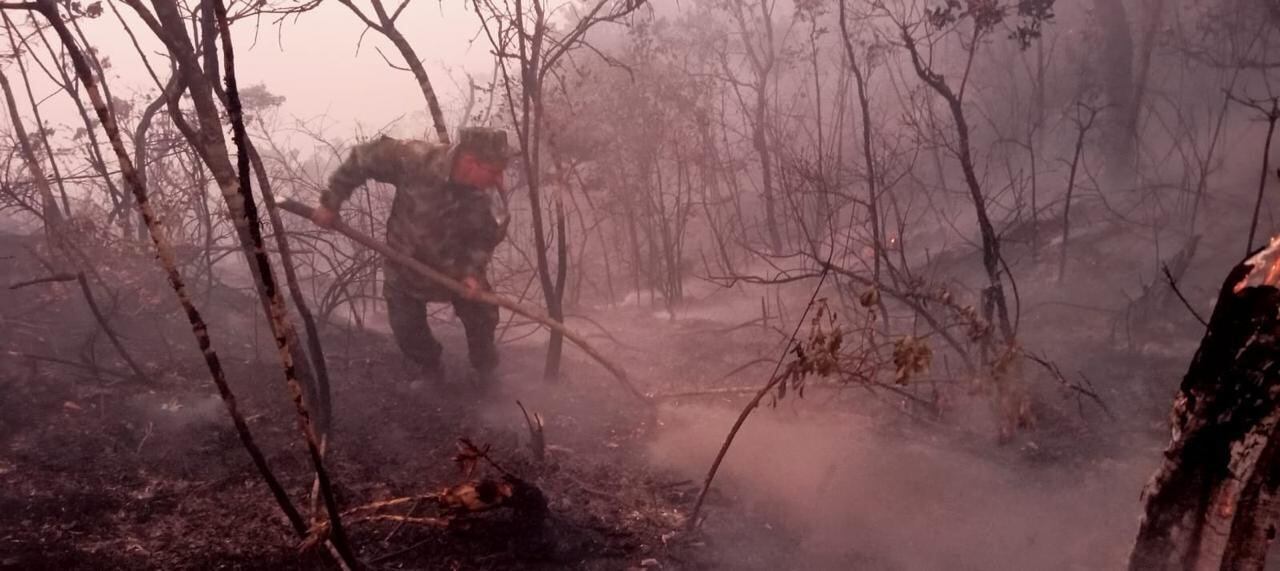 Autoridades atendieron de manera articulada incendio forestal en Pamplona