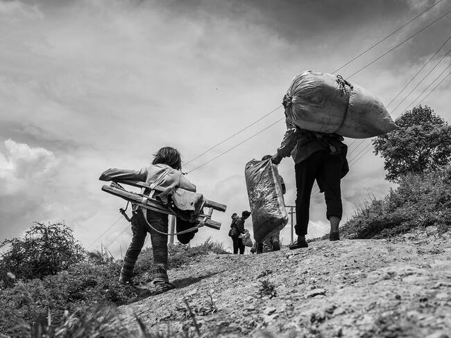 Preocupación por invasión de tierras en Cauca: habla el Consejo Gremial