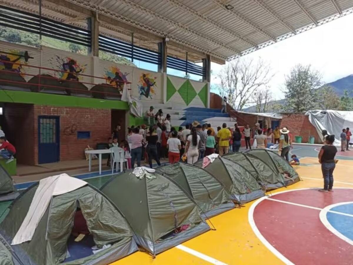 Más de 300 familias desplazadas por combates en Argelia, Cauca