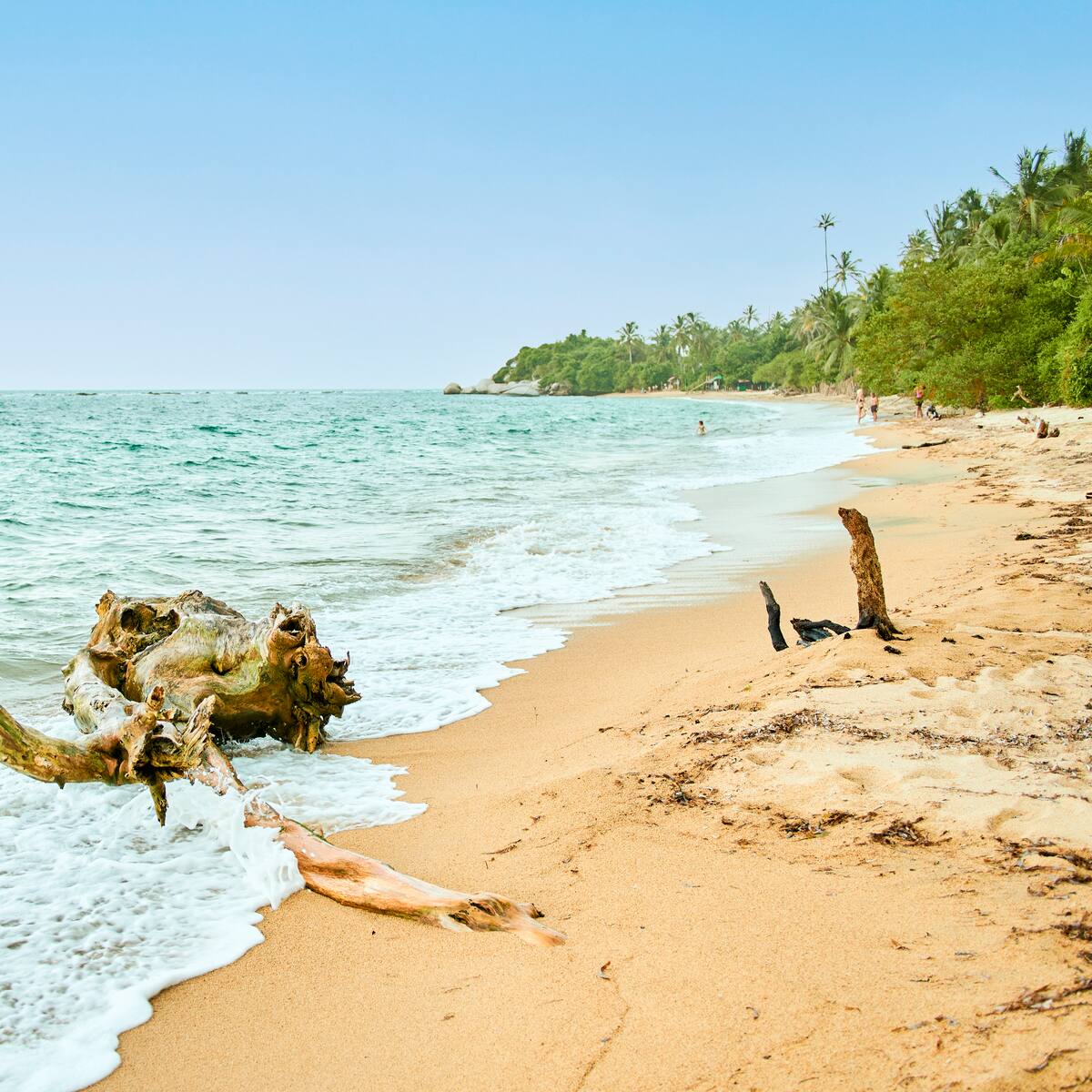 Un hombre fue hallado sin vida en la playa de Bahía Concha, Parque Nacional Natural Tayrona