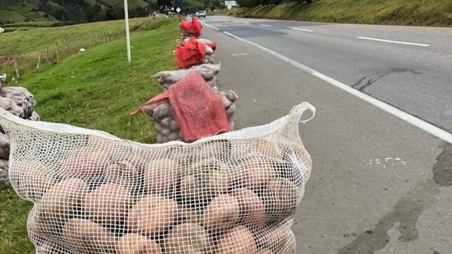 Calificaron como injusta la importación de papa. . Foto: W