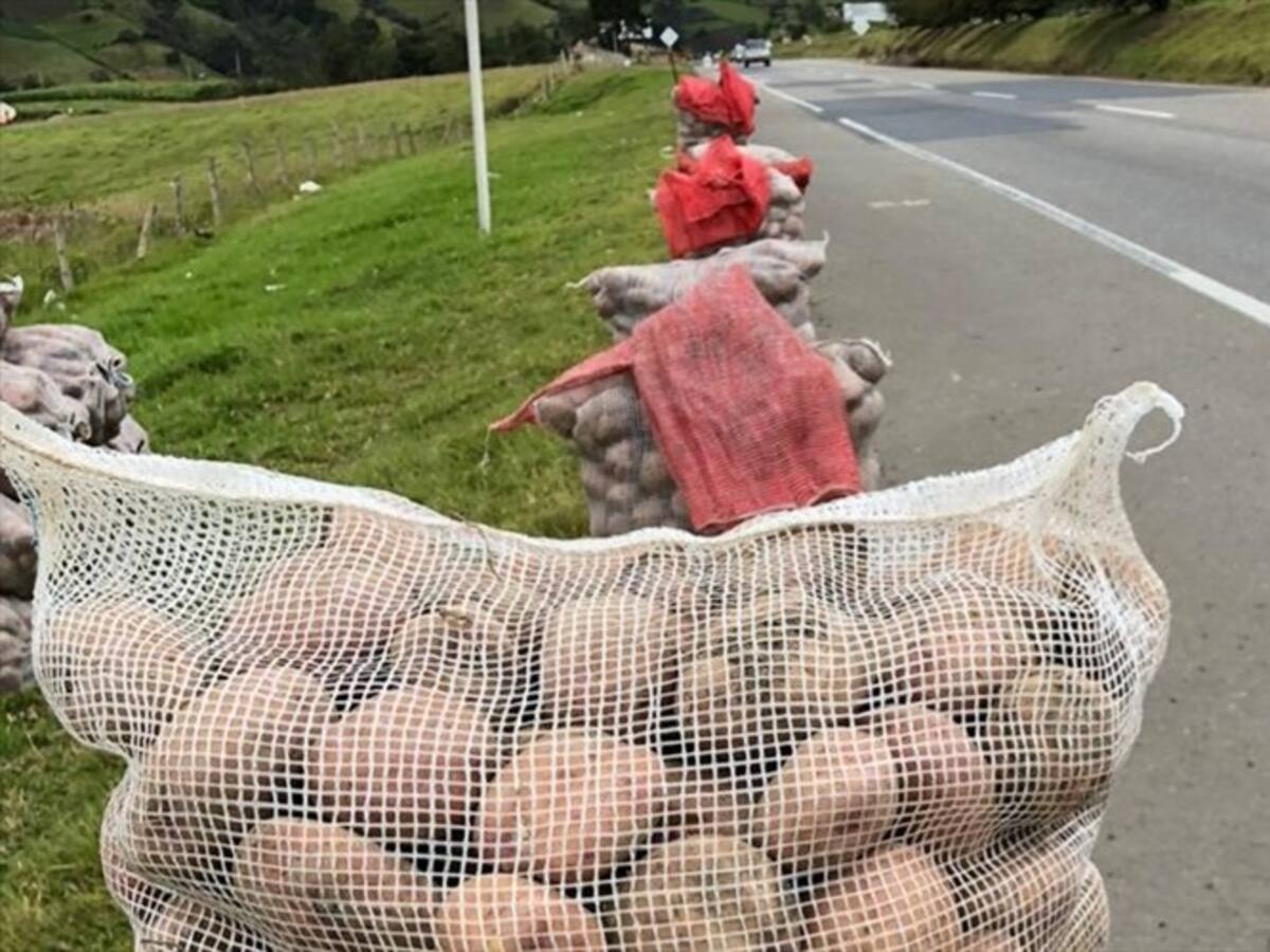 Crisis lleva a campesinos de Ventaquemada a vender bultos de papa en la vía Tunja – Bogotá