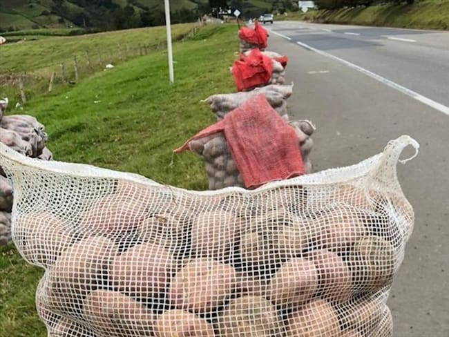 Calificaron como injusta la importación de papa. . Foto: W