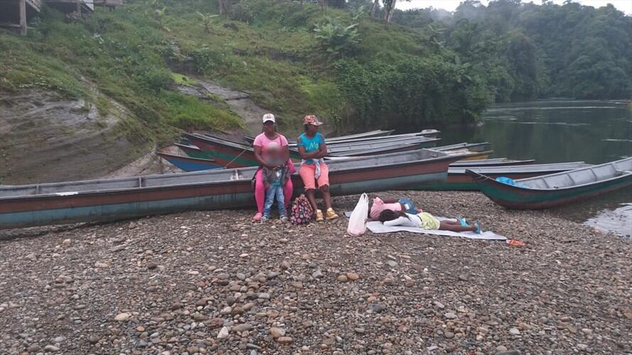Aunque según la comunidad se han hecho fumigaciones estas no han sido suficientes porque el problema persiste . Foto: Arbey Núñez
