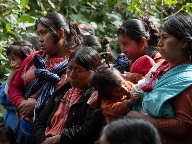 Atención a indígenas desplazados en Pereira / Foto: EFE