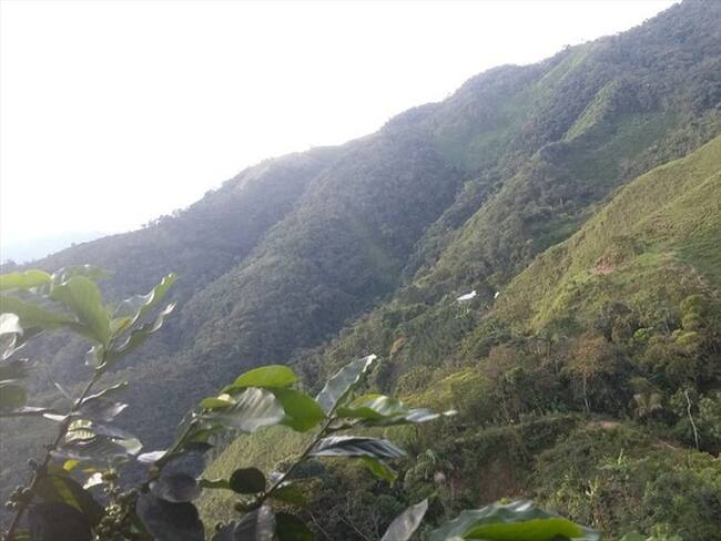 Algunas empresas han restituido tierras de forma voluntaria. Foto: Colprensa.