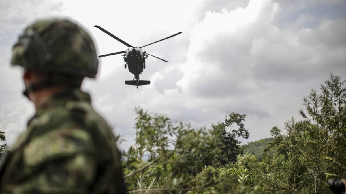 Análisis: ¿Qué implica para Colombia perder la certificación de EE.UU. en la lucha antidrogas?
