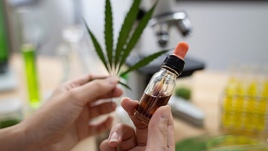 Khiron firma acuerdo con Locatel para distribuir cannabis medicinal en Colombia. Foto: Getty Images