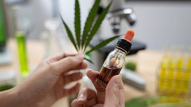 Khiron firma acuerdo con Locatel para distribuir cannabis medicinal en Colombia. Foto: Getty Images