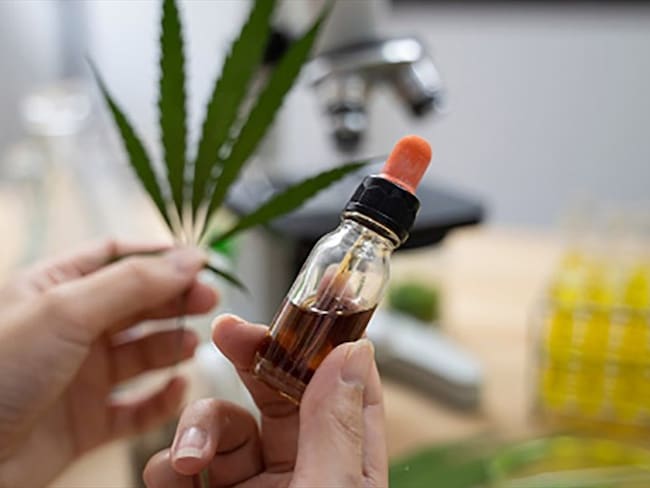 Khiron firma acuerdo con Locatel para distribuir cannabis medicinal en Colombia. Foto: Getty Images