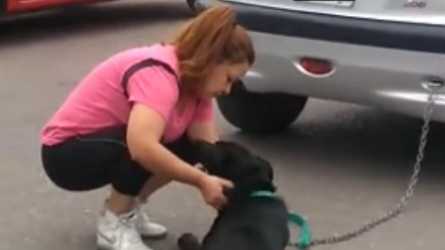 Maltrato animal: mujer arrastró con el carro a su perro. Foto: Facebook: Elio Sevas Ponce