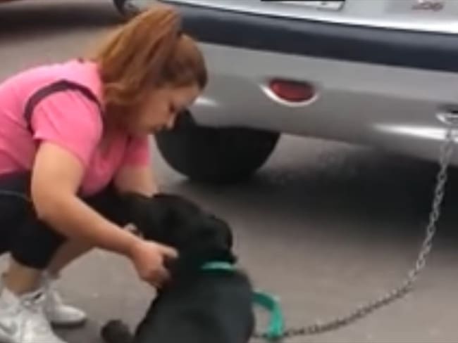 Maltrato animal: mujer arrastró con el carro a su perro. Foto: Facebook: Elio Sevas Ponce
