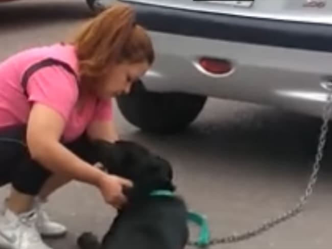 Maltrato animal: mujer arrastró con el carro a su perro. Foto: Facebook: Elio Sevas Ponce