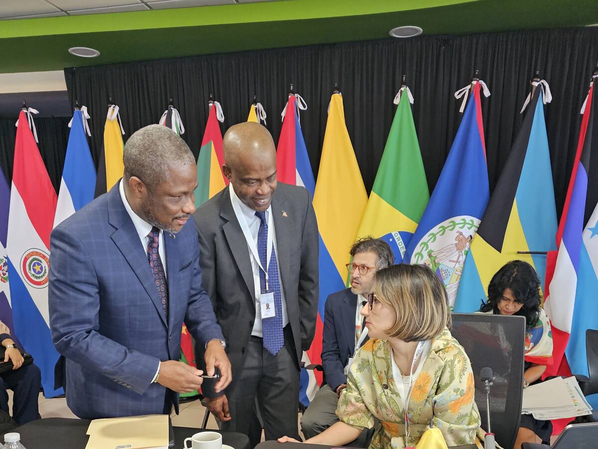 “Juntos tenemos un mayor poder de negociación”: canciller Laura Sarabia en la CELAC