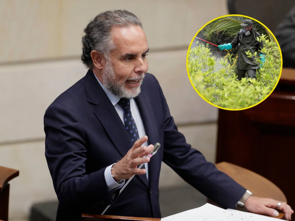 Benedetti anunció fumigación en zonas donde grupos armados obliguen a civiles a cultivar coca