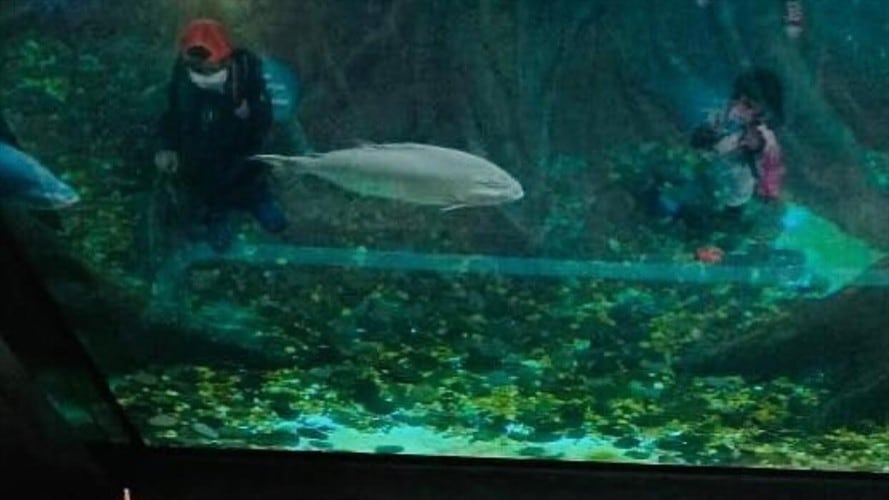 Parque Explora. Foto: Parque Explora