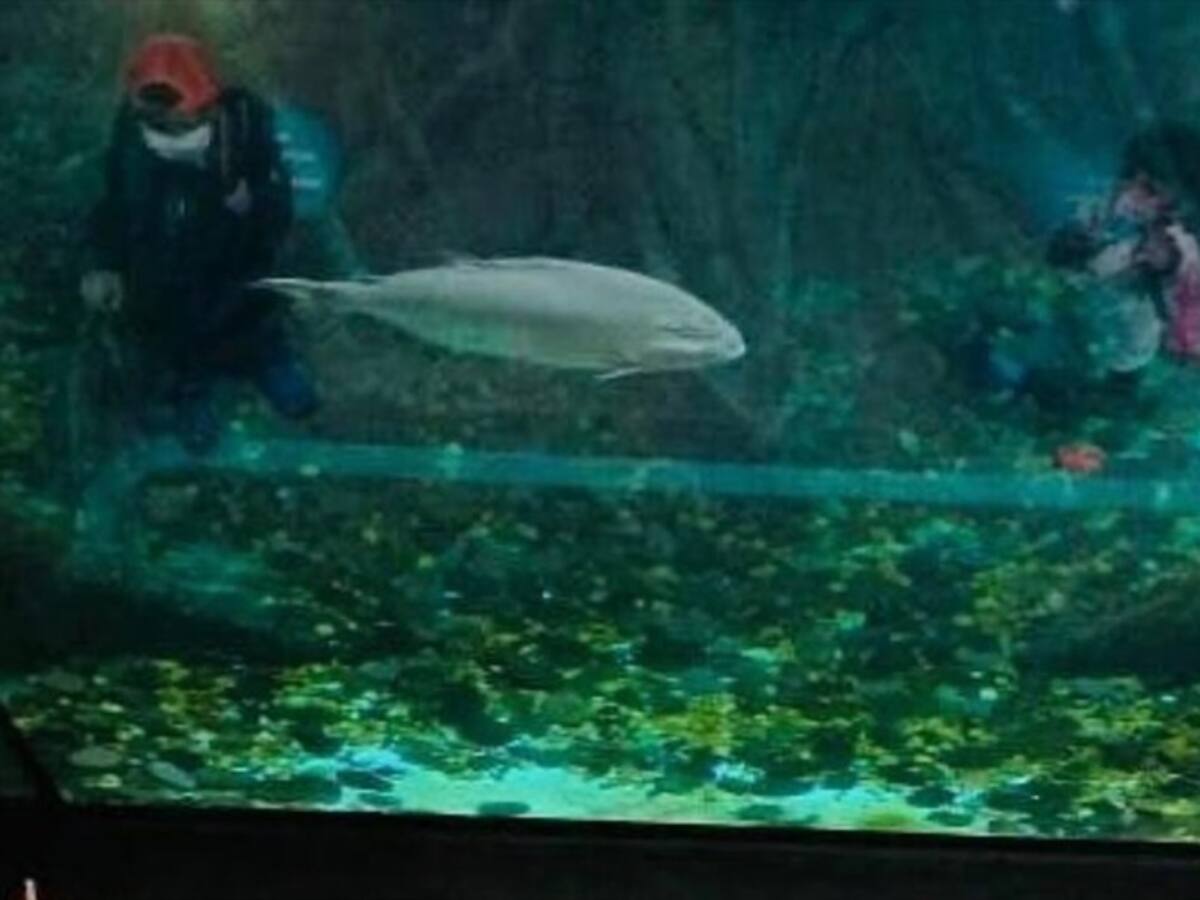 Instalaciones del Parque Explora fueron vandalizadas durante protestas en Medellín