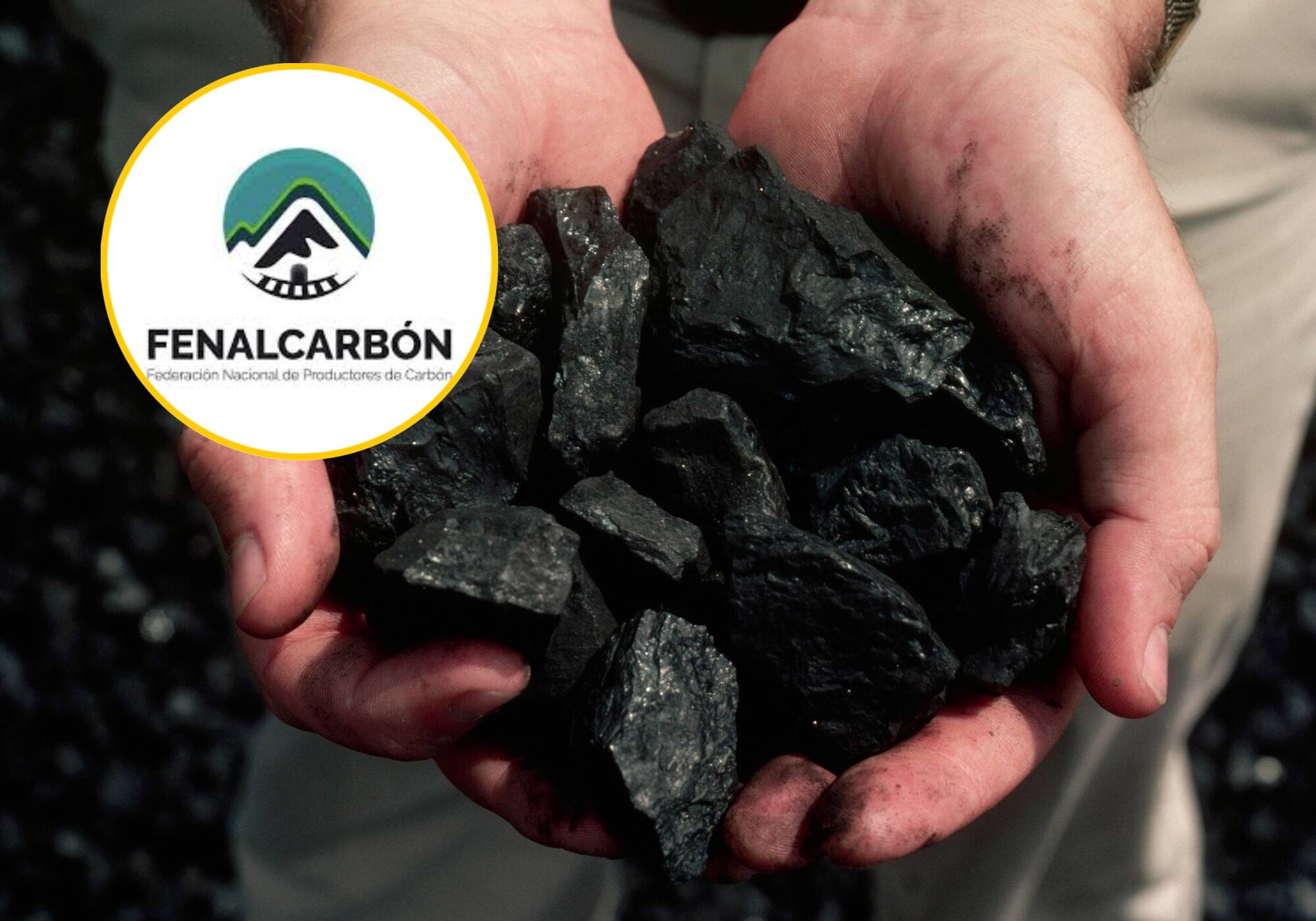 Fenalcarbón advirtió sobre riesgos de una transición energética “mal planeada”. Foto: Colprensa.