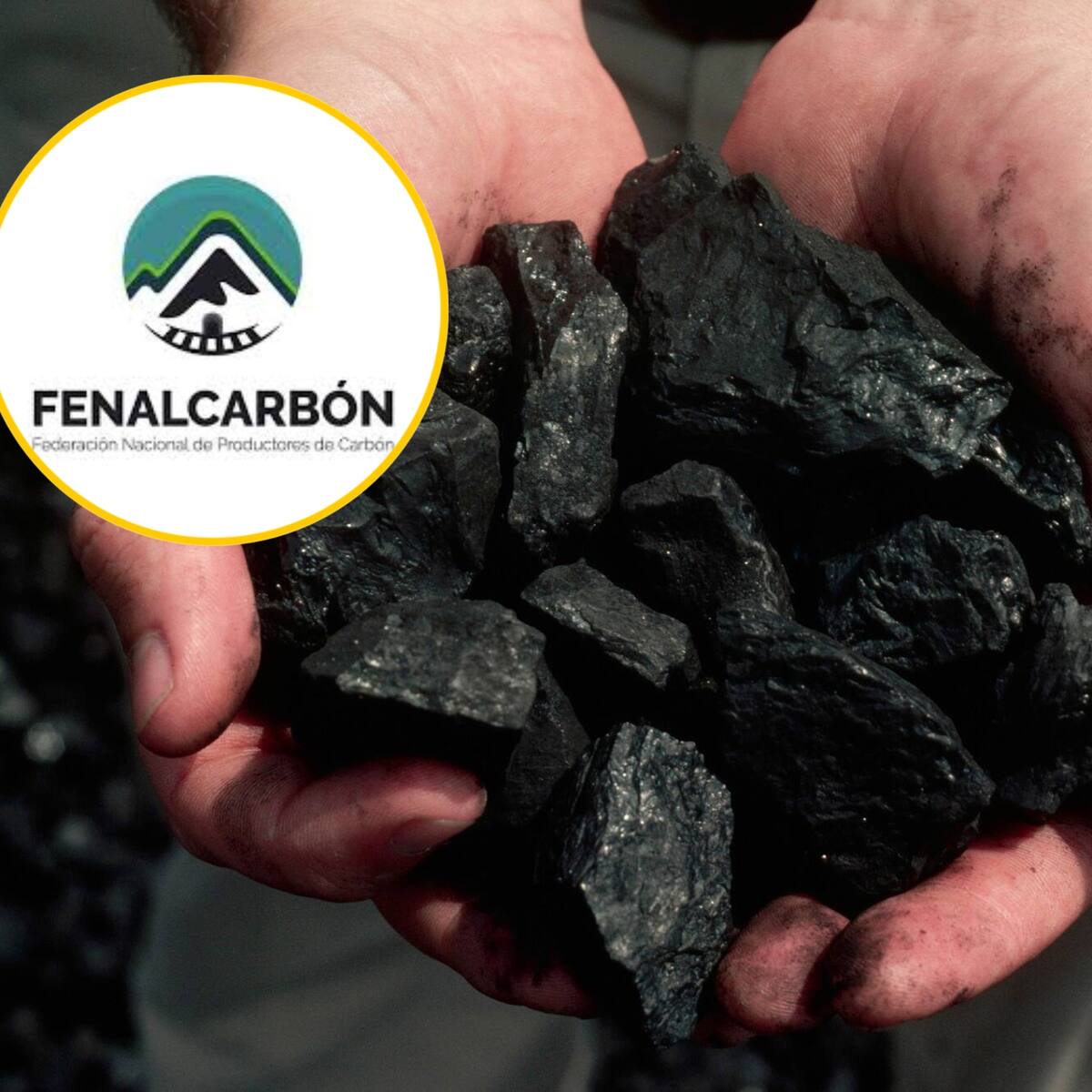 Fenalcarbón advirtió sobre riesgos de una transición energética “mal planeada”