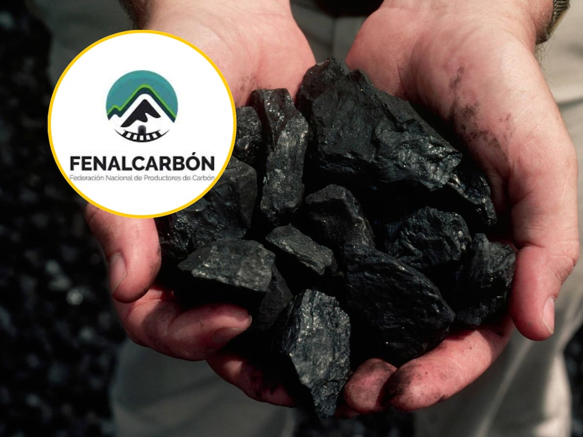 Fenalcarbón advirtió sobre riesgos de una transición energética “mal planeada”