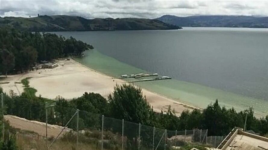Solicita que se ordene a Corpoboyaca, se establezca cuál es la fuente generadora de plomo que contamina el ecosistema lagunar Lago de Tota y se imponga de manera inmediata las medidas preventivas. . Foto: W