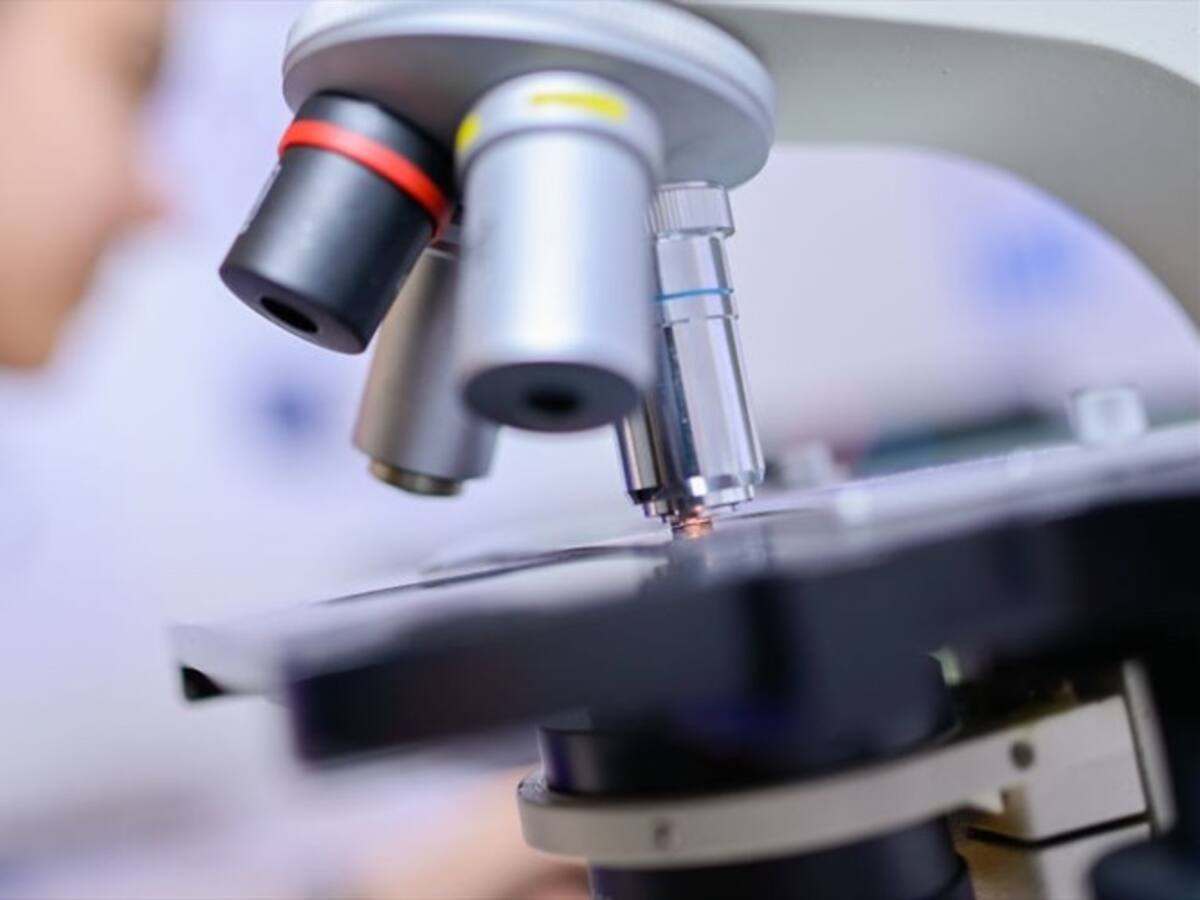 ¿Qué debe saber sobre el "superhongo asesino" que preocupa al mundo?