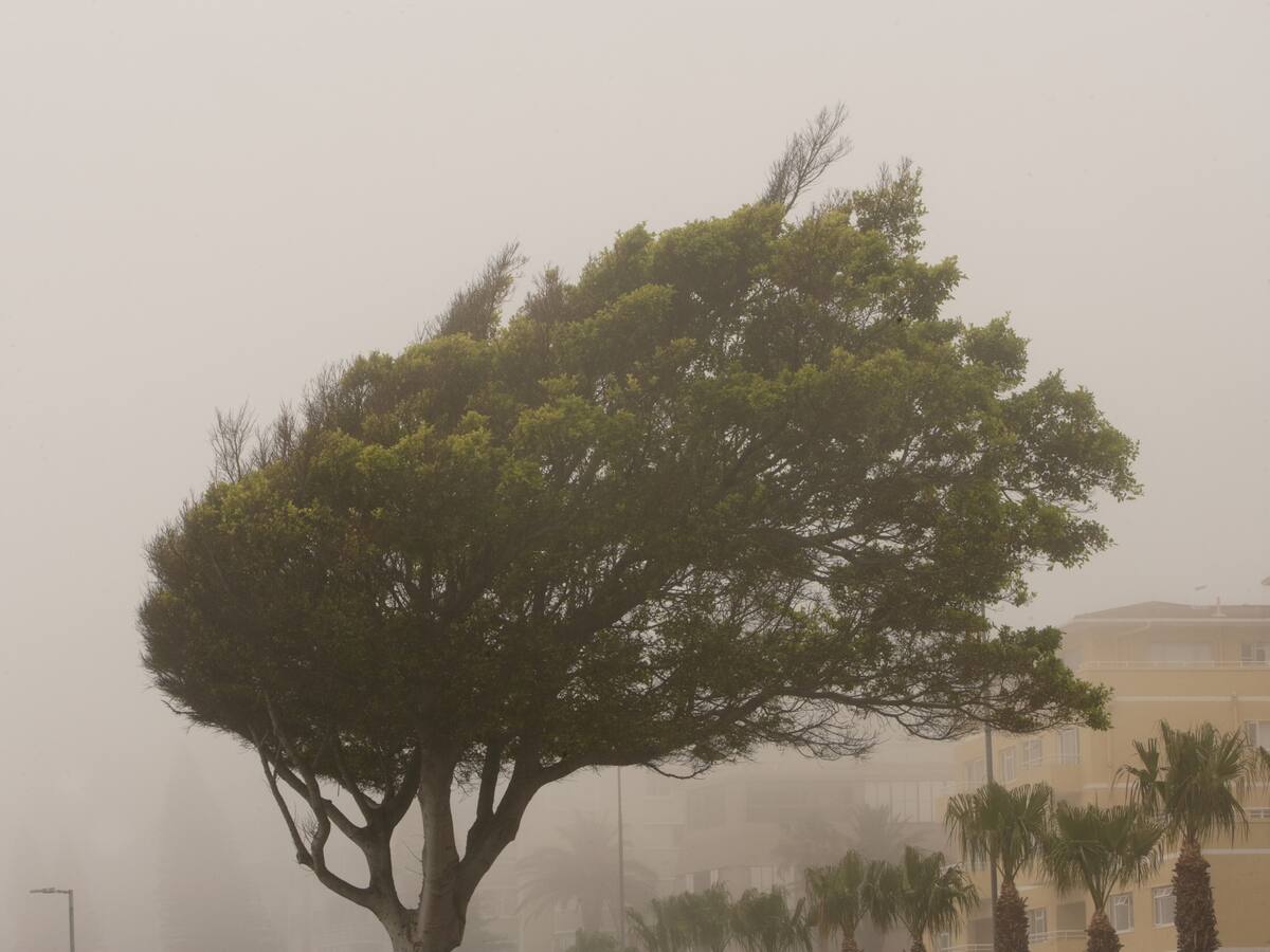 Italia: dos personas murieron por la fuerte temporada de vientos y lluvias