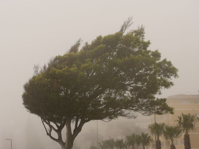 Imagen de referencia. Foto: GettyImages