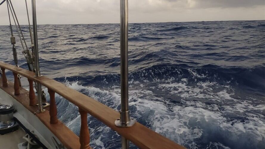 Un mar saludable tiene todos los colores, y el violeta es muy especial, para nosotros en la travesía El Caribe Respira verlo en ese tono es una esperanza de recuperación", dice el capitán Adolfo Hoyos. Foto: Augusto Puello/El Caribe Respira