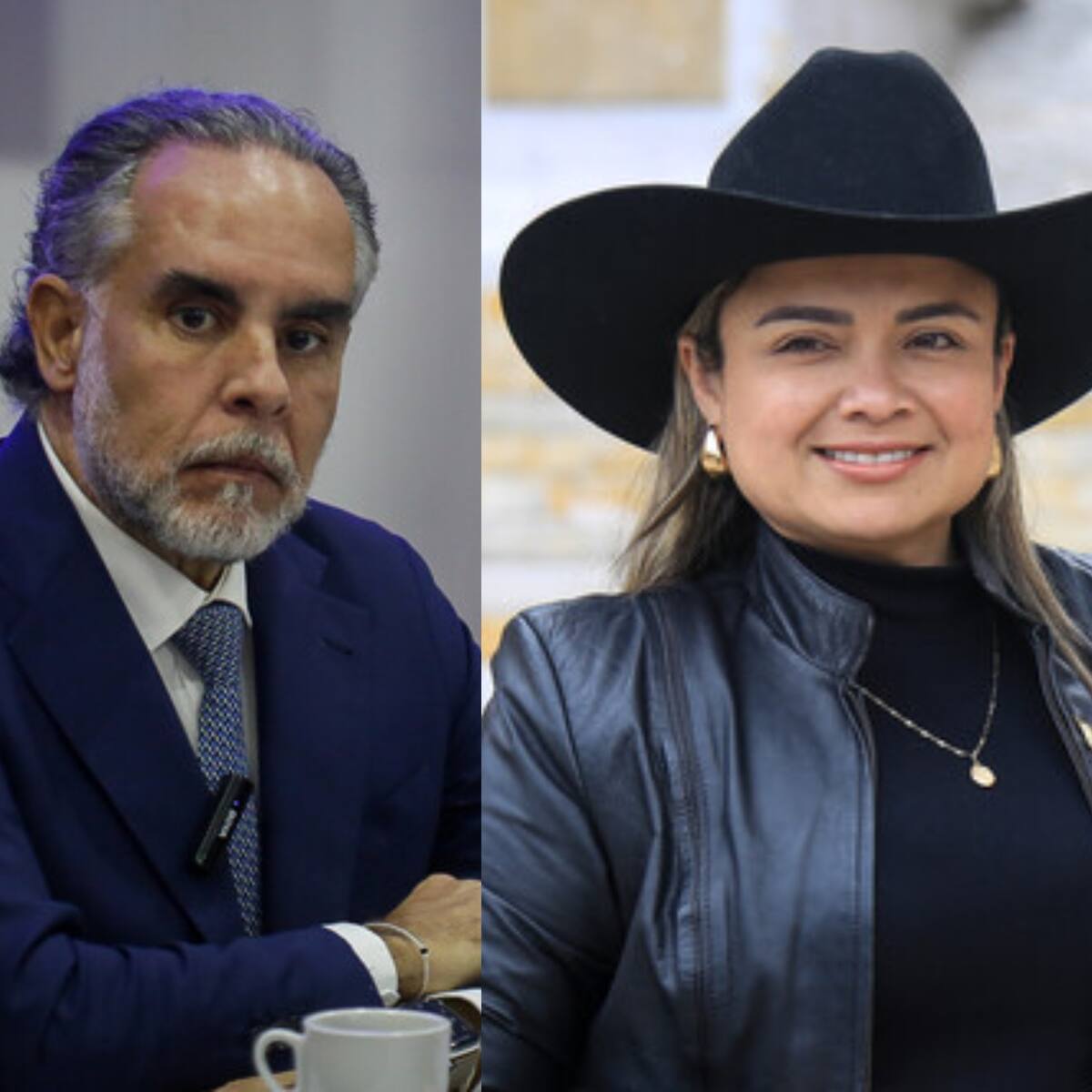 Corte Suprema rechaza denuncia de Benedetti contra Lina Garrido por llamarlo “maltratador de mujeres