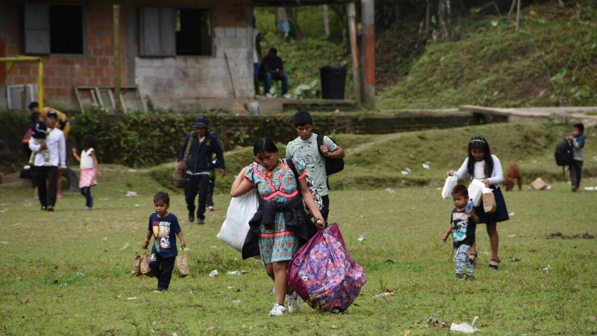 Más de 200 indígenas retornaron a sus resguardos en Risaralda y el Chocó