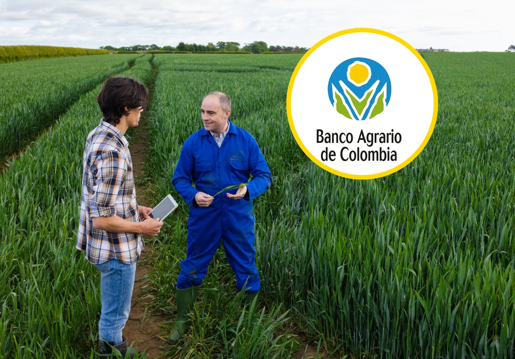 Referencia de compra de tierras y logo de Banco Agrario. Foto: SolStock vía Getty Images/ Página web de Banco Agrario.