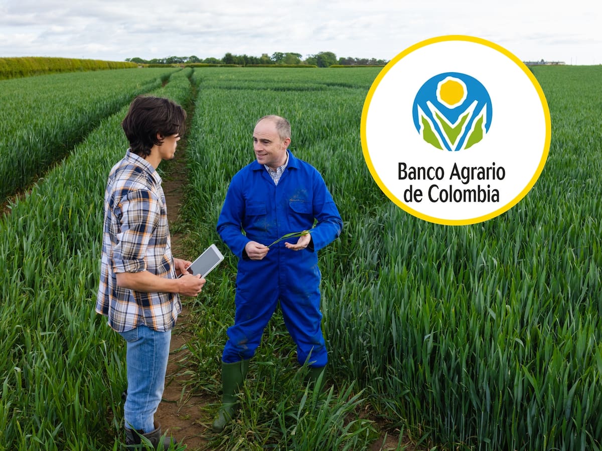 ¿Cuánto presta el Banco Agrario para comprar tierras? Requisitos y cómo solicitar crédito