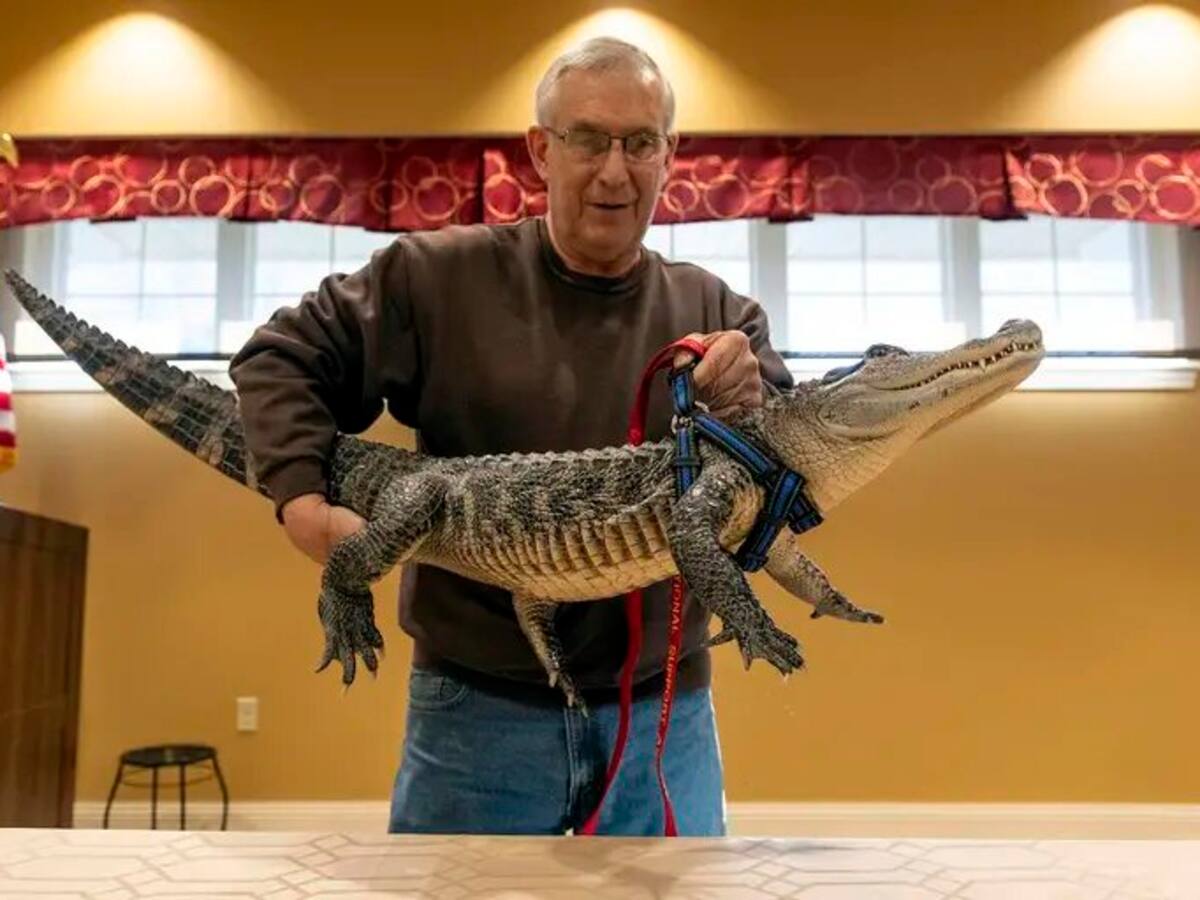 Joe Henney, el hombre que combate la depresión conviviendo con un caimán