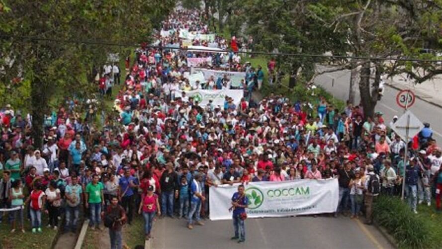 Cultivadores de hoja de coca se sumarán a la marcha hacia la ciudad de Cúcuta. Foto: Cortesía COCCAM