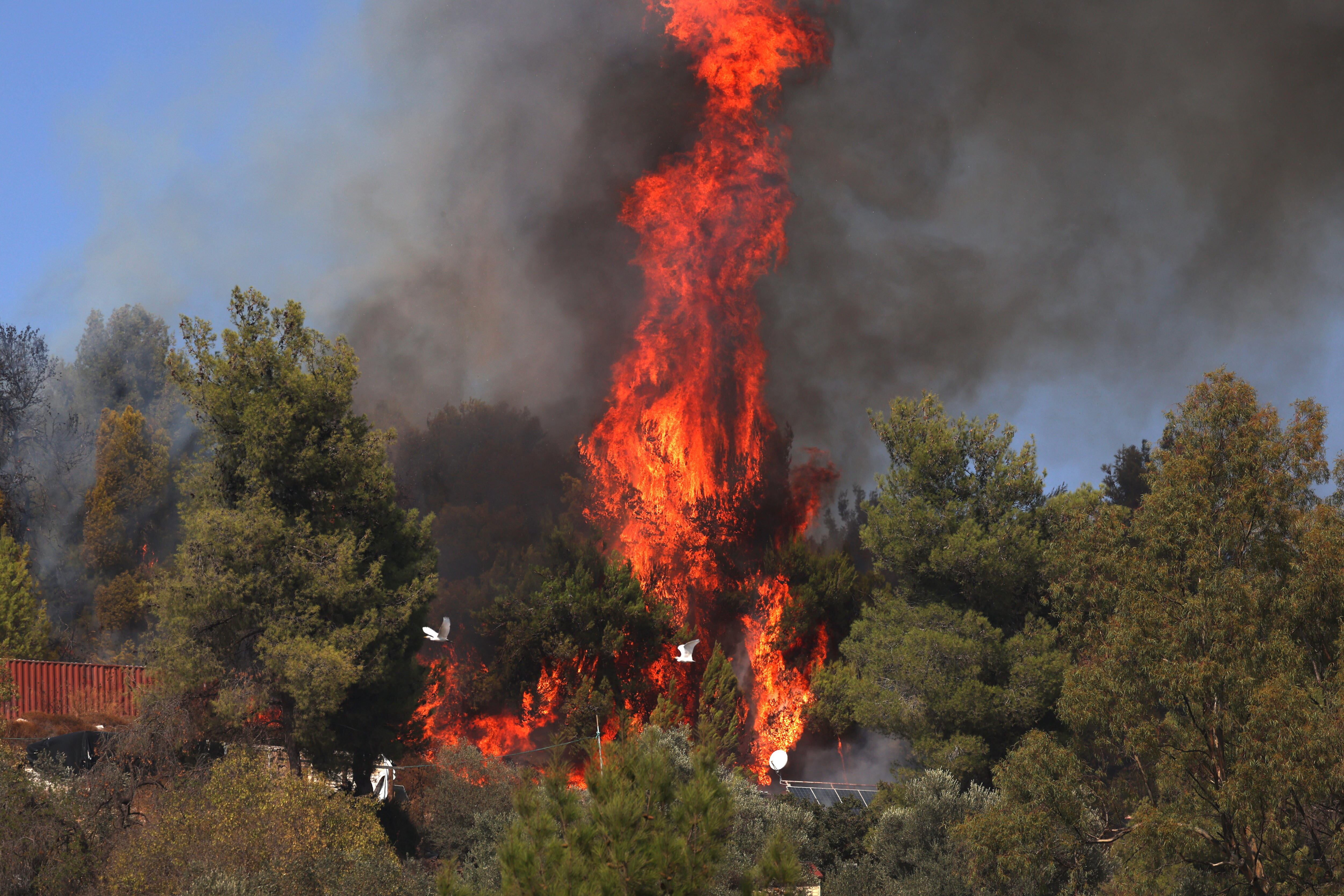 Ataques israelíes. I Foto: EFE/EPA/ATEF SAFADI.