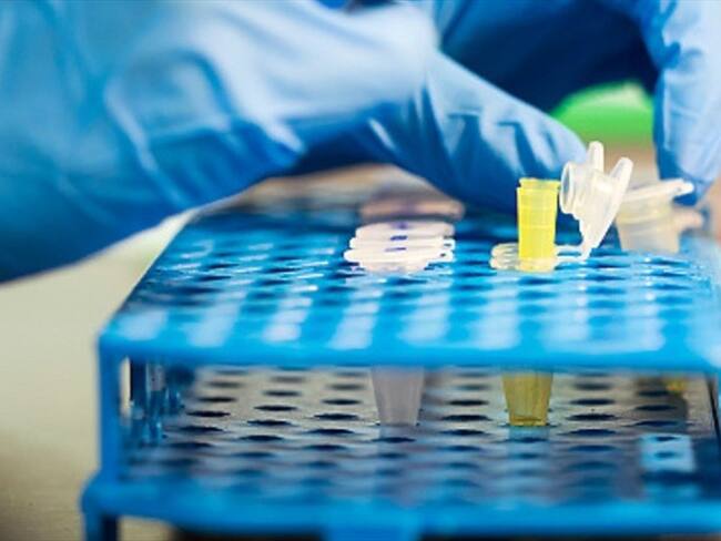 Esto de acuerdo a unn equipo de científicos de la Universidad de Nottingham (Inglaterra).. Foto: Getty Images