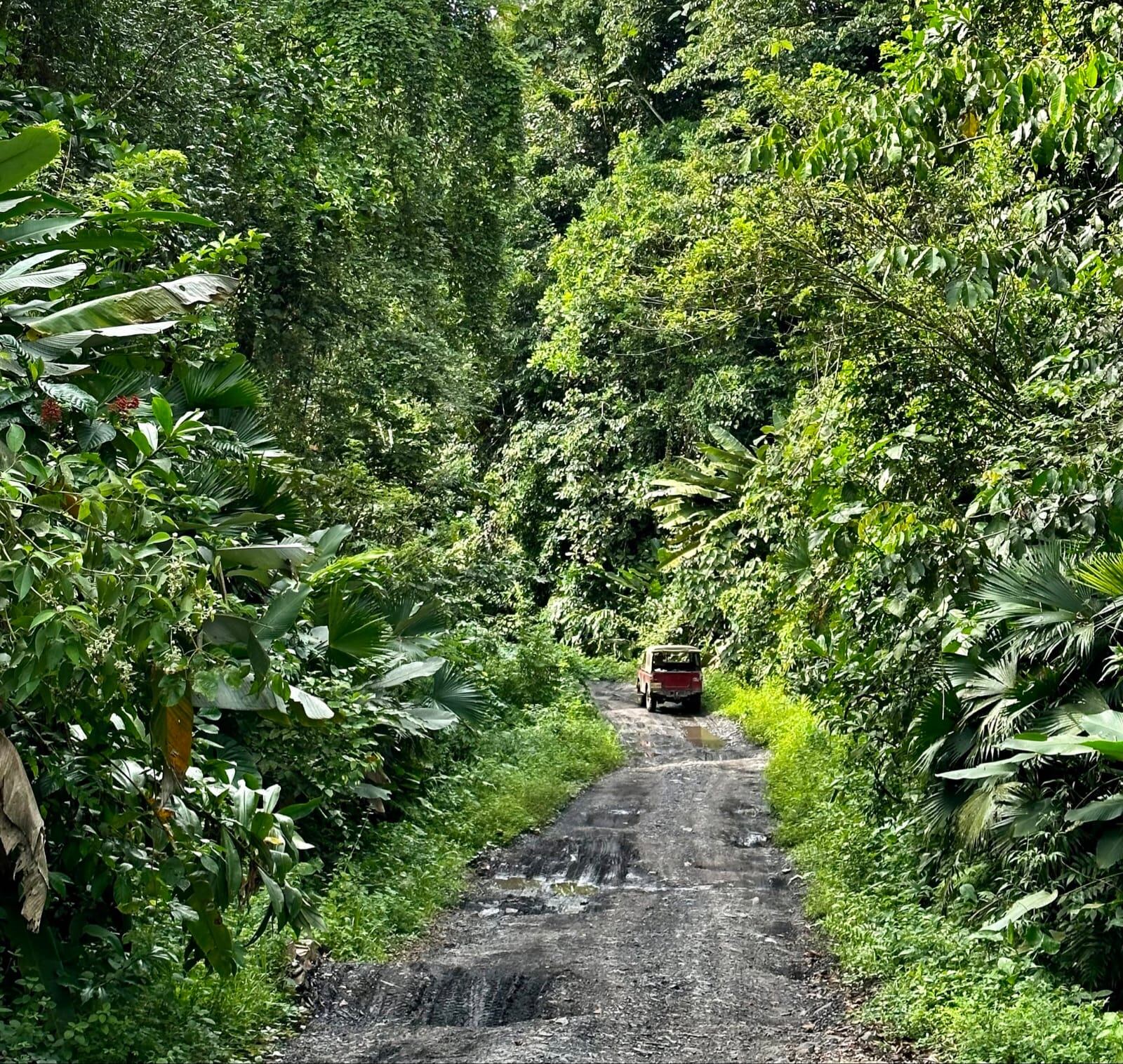 Carreteras de Colombia. Foto: Dr Diego Rosselli, investigador de la Univerdad Javeriana