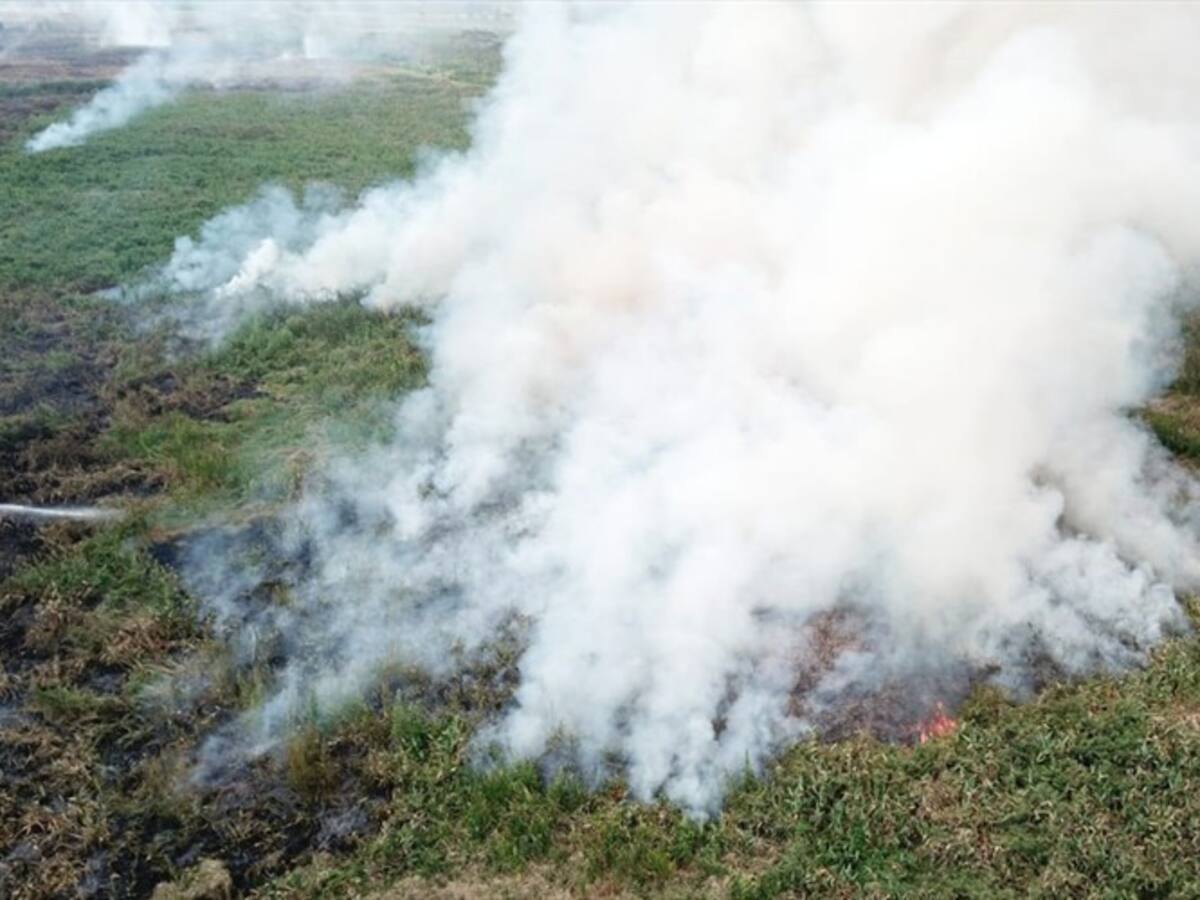 El incendio en Ciénaga de Corralito se reactivó presuntamente por manos criminales: CVS